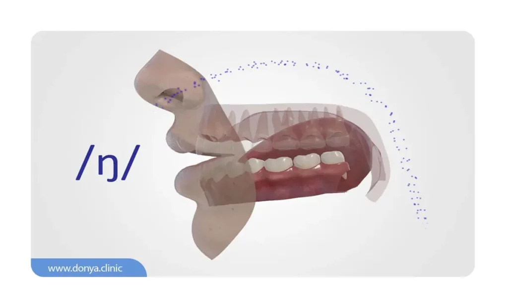 نقش دندان و زبان در تکلم